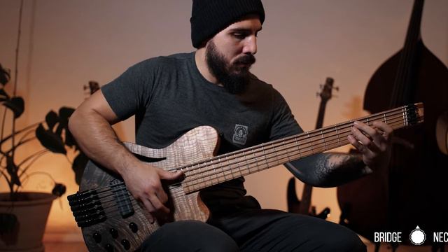 Ligérie Sauvignon custom bass - Demo смотреть онлайн