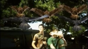 ПТИЦЕКАЛИПСИС: ШОК И ТРЕПЕТ [Треш Обзор]