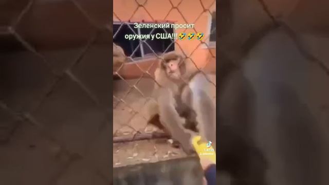 зелёный просит у сша смотреть онлайн