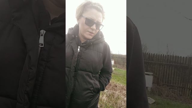 #ива #лоза #посадкачеренкавесной #посадкаивы #посадкачеренка смотреть онлайн