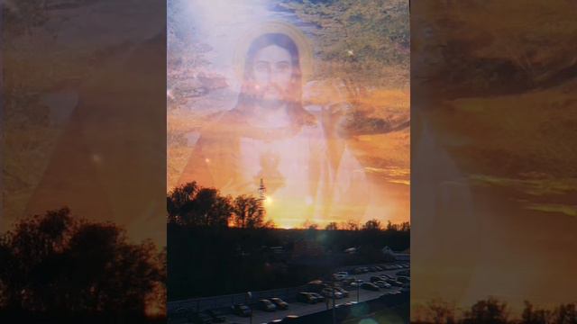 нам подрезали крылья, но мы ползли вперед смотреть онлайн