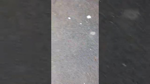 Прикол,открытые окна смотреть онлайн