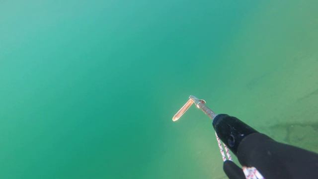 26 сентября 2020 дайвинг осмотр Новониколаевского карьера смотреть онлайн