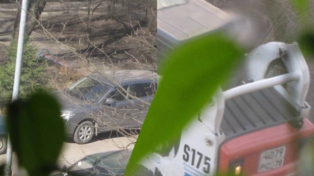 Красный куст спилили под корень смотреть онлайн