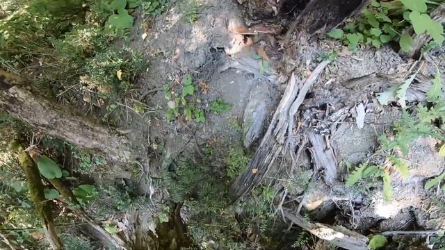 Игра The Forest 2 PS 5 в реальной жизни!!! The Forest 2 PS 5 Game In Real Life !!!