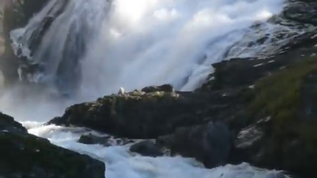 Kjosfossen Falls смотреть онлайн