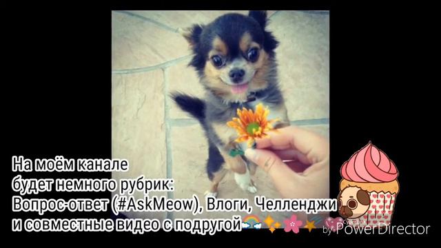 ♥TAG♥ Знакомство смотреть онлайн