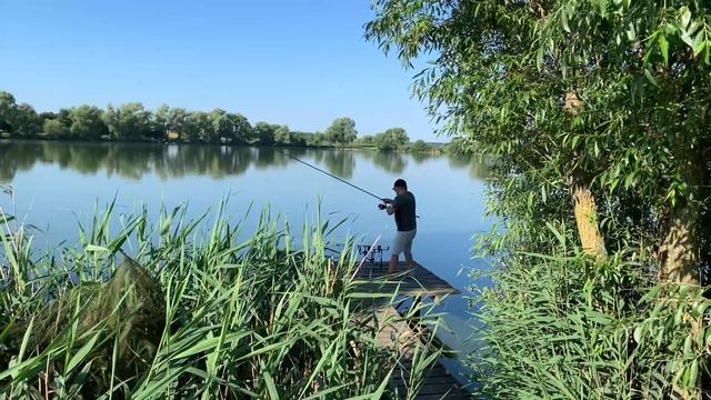 Ловим карпа в жару на флэт. смотреть онлайн