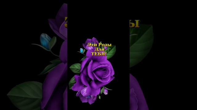 #тебеотменя #тебе #длятебя #комплименты #пожелания #открытки цветы для вас смотреть онлайн