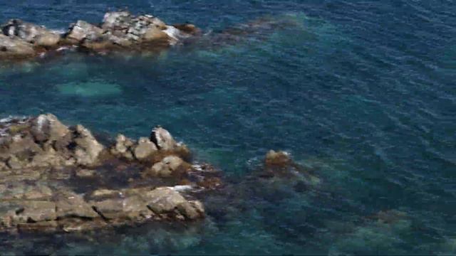 Потерянный Рай . Японское море .Залив Америка . 02 сентября 2021 г. смотреть онлайн