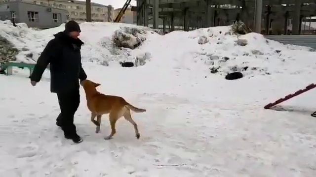 VID 20200321 WA0033 смотреть онлайн