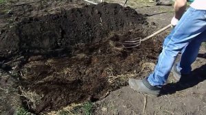 Теплая грядка под огурцы#огурцы#теплаягрядка#огород#грядки