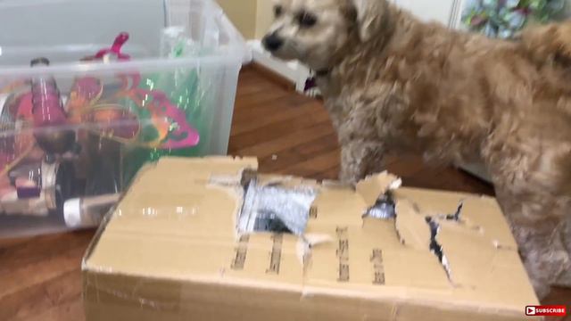 DUMPSTER DIVING ON EASTER! *ONE HAPPY BUNNY смотреть онлайн