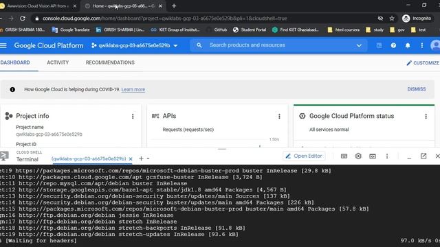 Awwvision: Cloud Vision API from a Kubernetes Cluster | Machine Learning APIs #6 смотреть онлайн