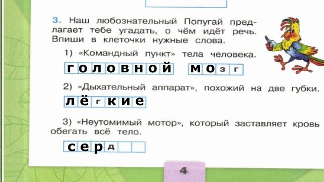 Окружающий мир. Рабочая тетрадь 2 класс 2 часть. ГДЗ стр. 4 №3 смотреть онлайн