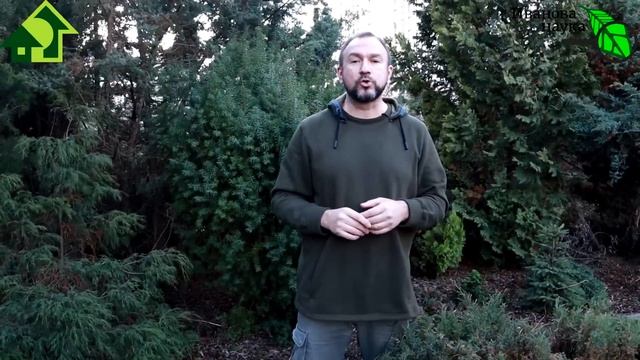 СКАЗКА 12 МЕСЯЦЕВ НАЯВУ! Что делать нам, попавшим в ЭТУ ЗЛУЮ СКАЗКУ? Как спасать растения от тепла? смотреть онлайн