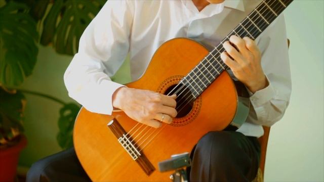 E.Puhol - "Bumblebee" Э.Пухоль - "Шмель" исп. Антон Чувило смотреть онлайн