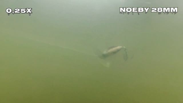 Воблеры жуки на голавля смотреть онлайн