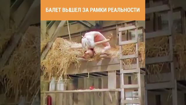 акробатка смотреть онлайн