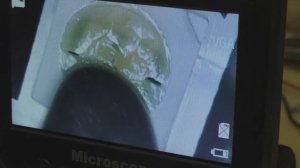 LG 42lb650 нет изображения, ремонт подсветки