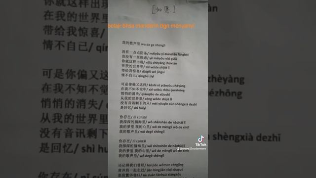 Merry Li 李美丽 cover [我的歌声里 wo de ge sheng li] смотреть онлайн