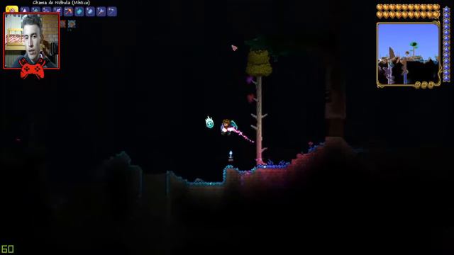 TERRARIA™ - COMO INVOCAR A EMPRESS OF LIGHT! смотреть онлайн