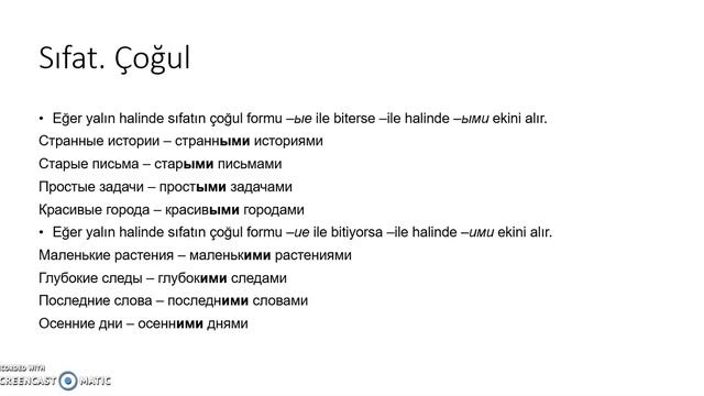 7-3 Творительный падеж- Прилагательные, Притяжательные и Указательные местоимения смотреть онлайн