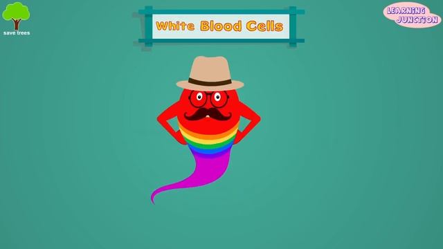 Human Blood Video | Blood Components | Blood Cells