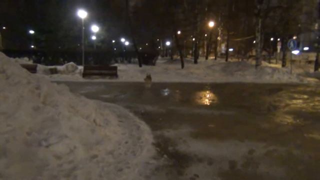 "Февраль, достать чернил и плакать!" смотреть онлайн