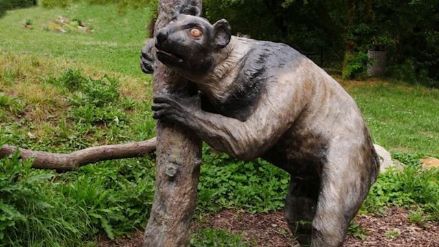 Archaeoindris - The Giant Sloth Lemur смотреть онлайн