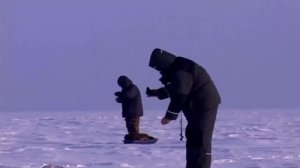 Зимняя рыбалка. Камское Устье. Судак. Берш.