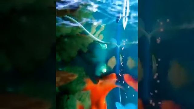 S.m.studio смотреть онлайн