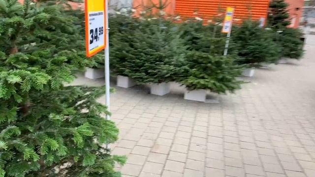 Наряжаем ёлку/ WLOGMAS /жизнь в Германии/LifeGermany/влог смотреть онлайн