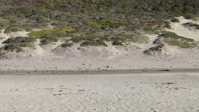 Pfeiffer beach, Big Sur, California / Пфайффер-бич смотреть онлайн