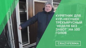 ⚡️Впервые в России АВТОМАТИЗИРОВАННЫЙ ТРЕХЪЯРУСНЫЙ КУРЯТНИК для кур-несушек на 100 голов!