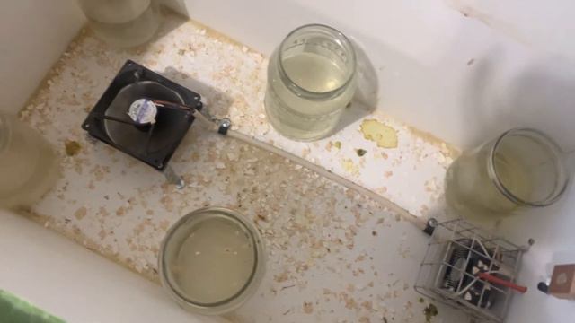 Инкубатор норма парка 120 яиц 👍