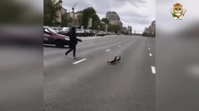 ФЭН-ШУЙ ПРОГНОЗ НА МАРТ🐰 МЕСЯЦ ОГНЕННОГО КРОЛИКА#3 смотреть онлайн