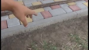 3. Укладка тротуарной плитки на бетонное основание. Отмостка из тротуарной плитки.