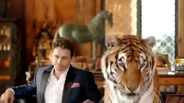 Ford 2014 Fusion Best TV Ads - Commercial смотреть онлайн