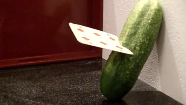 Card Throwing: Food (Trick + Tutorial) (Pro7 Galileo Fake Check) смотреть онлайн