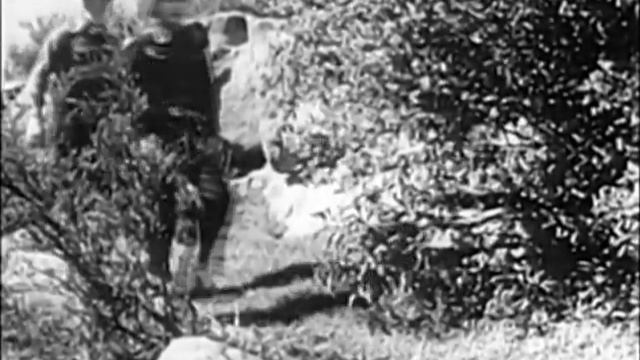 The Yellow Rose of Texas (1944) ROY ROGERS смотреть онлайн