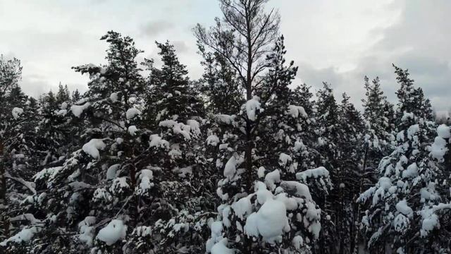 ЗИМНИЙ ЛЕС ПЕРМСКОГО КРАЯ смотреть онлайн