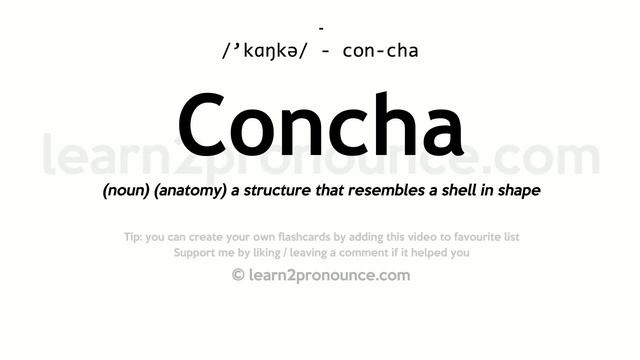 Pronunciation of Concha | Definition of Concha смотреть онлайн