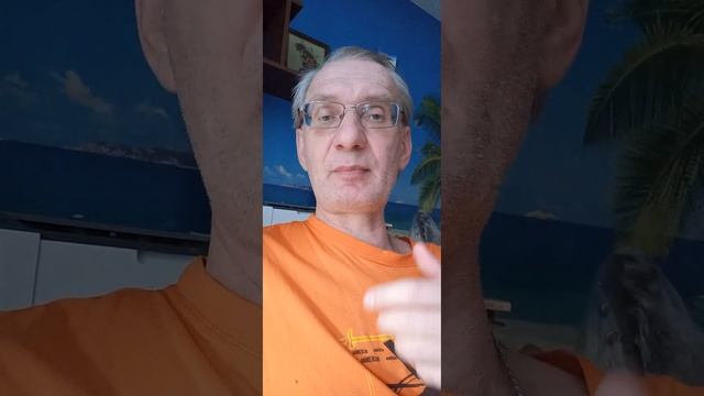 Демаркация на волны хаоса. смотреть онлайн