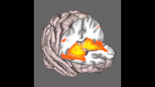 Brain Training - Academic English смотреть онлайн