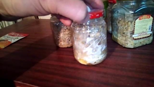 Грибы растут!))мицелий тоже) смотреть онлайн