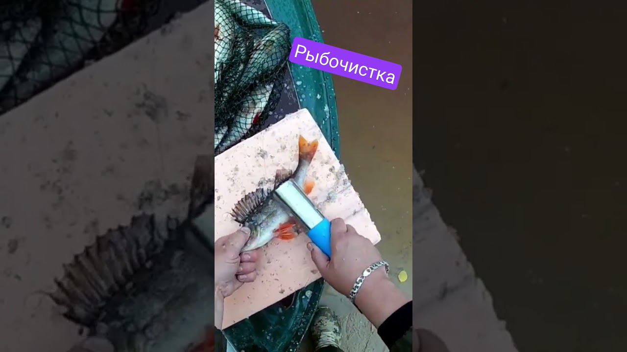 Рыбочистка из китая. Очень хорошая штука #белоярский #хмаоюгра #окунь смотреть онлайн