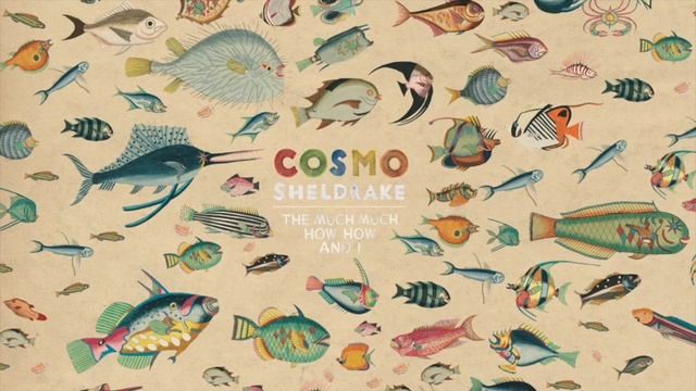 Cosmo Sheldrake - Run Rings Right Wrongs (Instrumental) смотреть онлайн