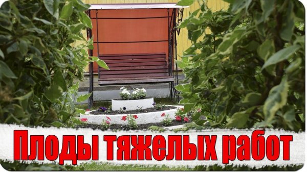 Плоды тяжелых работ /  HARD WORKER / Жизнь в деревне (влог № 35 )