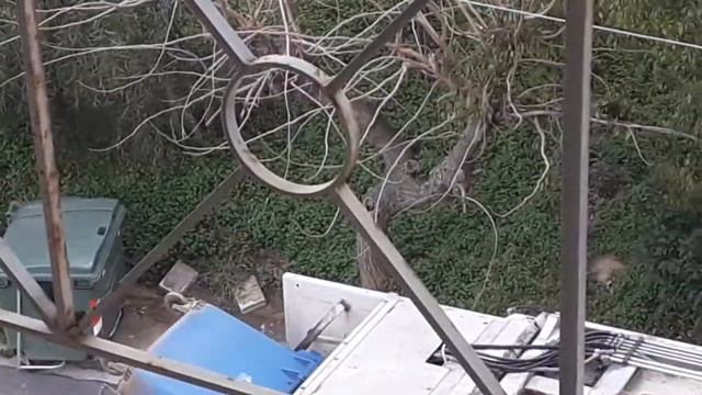 2007 mercedes benz axor recycling collection смотреть онлайн